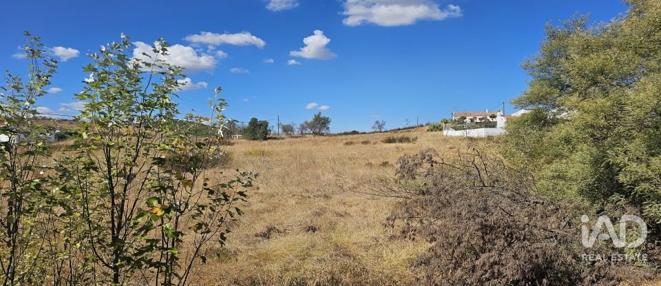 Terreno rústico em Alcoutim e Pereiro de 2 750 m²