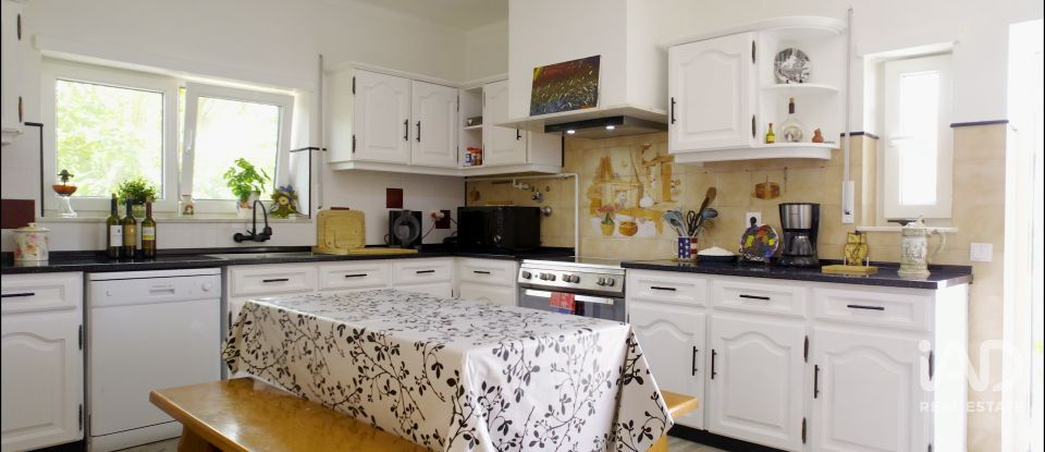 Casa / moradia T0 em Caldas da Rainha - Nossa Senhora do Pópulo, Coto e São Gregório de 438 m²