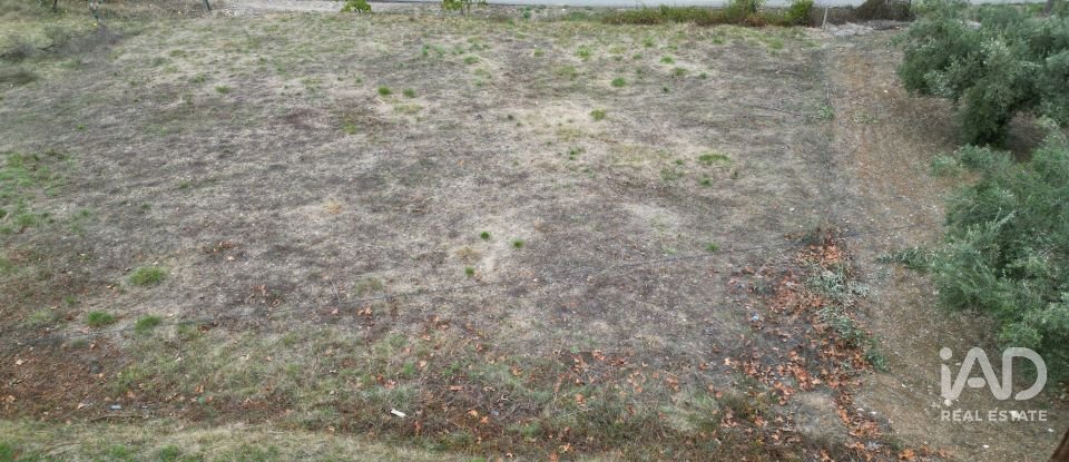 Terreno urbano em Souselas e Botão de 1 019 m²