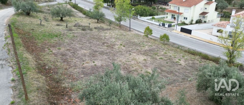 Terreno urbano em Souselas e Botão de 1 019 m²