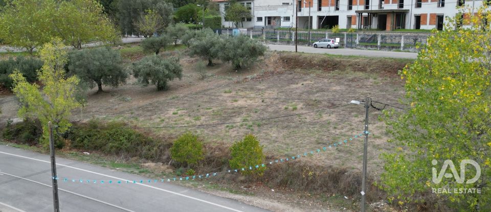 Terreno urbano em Souselas e Botão de 1 019 m²