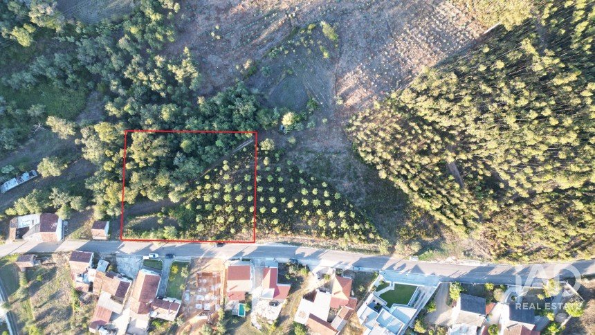 Terreno urbano em Pelariga de 2 400 m²