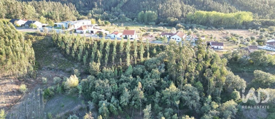 Terreno urbano em Pelariga de 2 400 m²