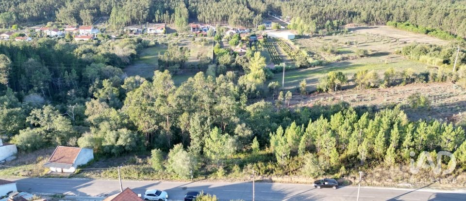 Terreno urbano em Pelariga de 2 400 m²