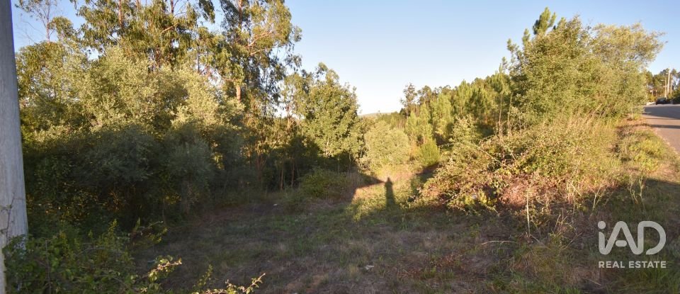 Terreno urbano em Pelariga de 2 400 m²