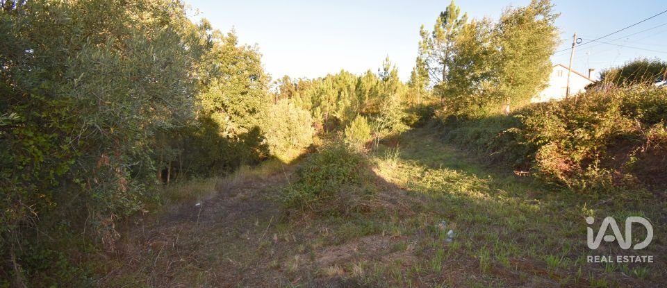 Terreno urbano em Pelariga de 2 400 m²