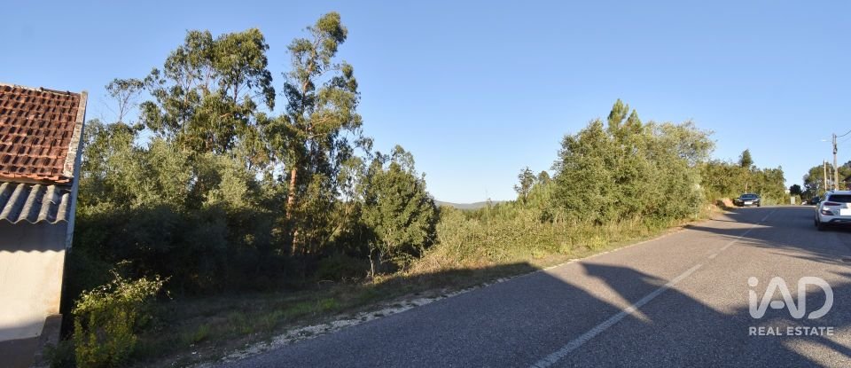 Terreno urbano em Pelariga de 2 400 m²