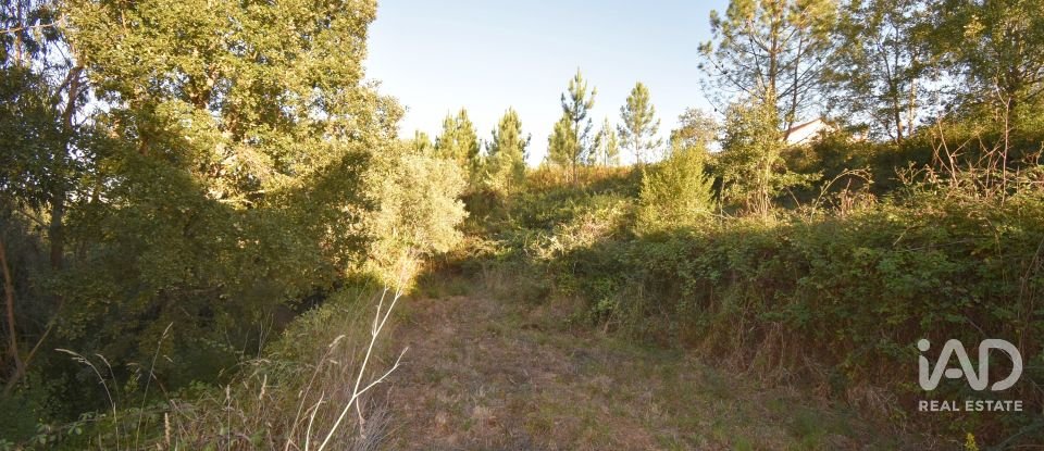 Terreno urbano em Pelariga de 2 400 m²