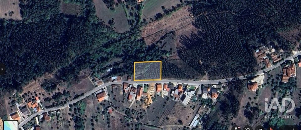 Terreno urbano em Pelariga de 2 400 m²