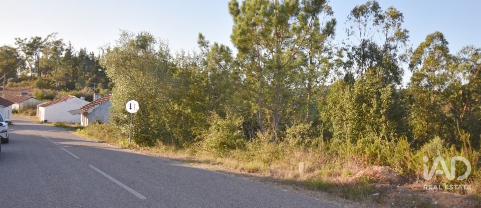 Terreno urbano em Pelariga de 2 400 m²