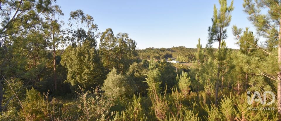 Terreno urbano em Pelariga de 2 400 m²