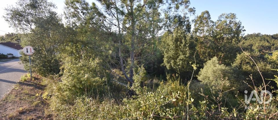 Terreno urbano em Pelariga de 2 400 m²