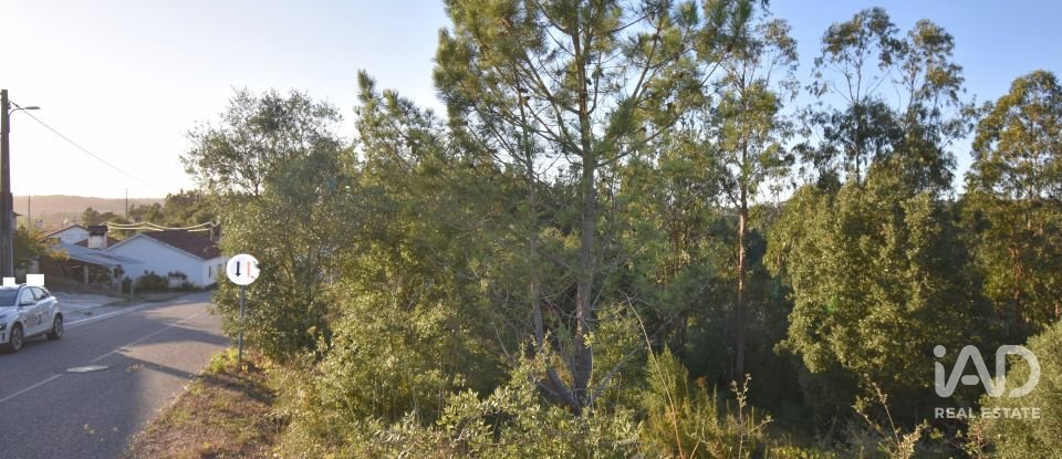 Terreno urbano em Pelariga de 2 400 m²