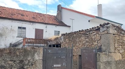 Village house T2 in Aldeia Velha of 135 m²