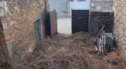 Village house T2 in Aldeia Velha of 135 m²