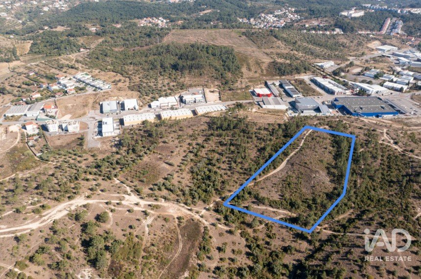 Terrain à Eiras E São Paulo De Frades de 14 195 m²