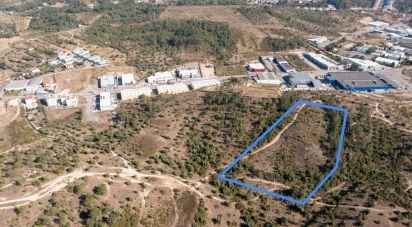 Terrain à Eiras E São Paulo De Frades de 14 195 m²