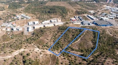 Terrain à Eiras E São Paulo De Frades de 14 195 m²