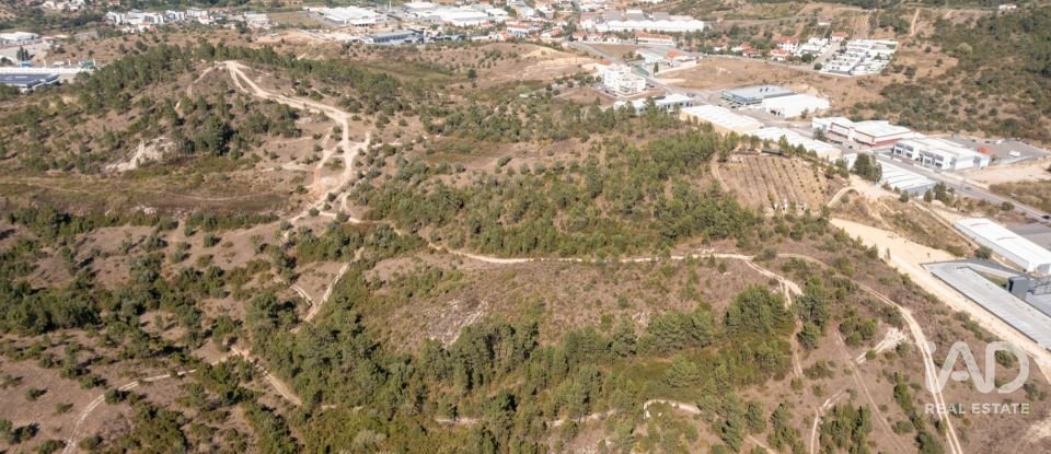 Terrain à Eiras E São Paulo De Frades de 14 195 m²