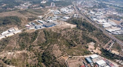 Terrain à Eiras E São Paulo De Frades de 14 195 m²