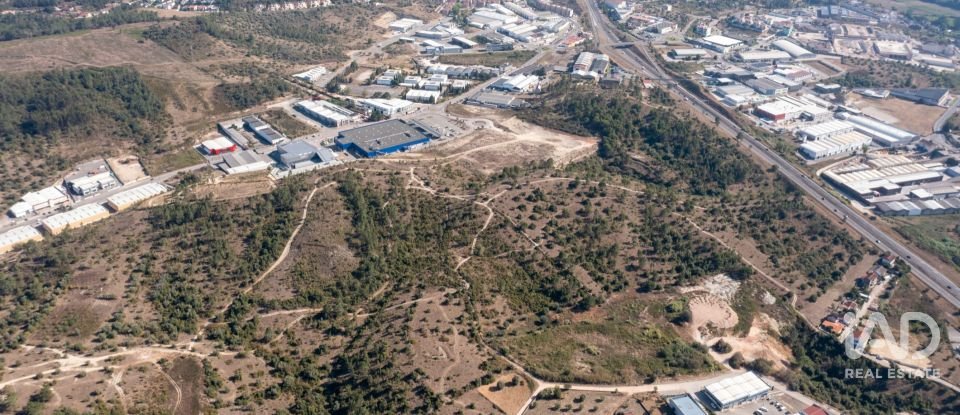 Terrain à Eiras E São Paulo De Frades de 14 195 m²