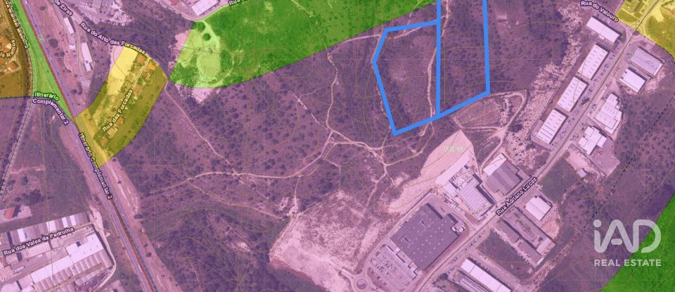 Terrain à Eiras E São Paulo De Frades de 14 195 m²