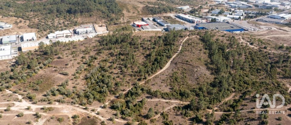 Terrain à Eiras E São Paulo De Frades de 14 195 m²