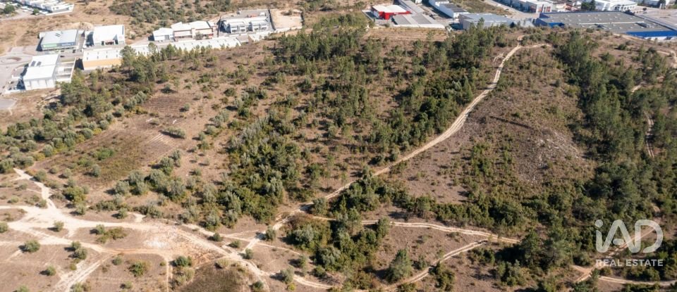 Terrain à Eiras E São Paulo De Frades de 14 195 m²