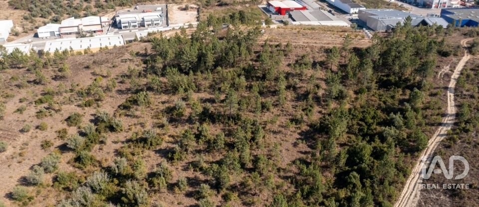 Terrain à Eiras E São Paulo De Frades de 14 195 m²