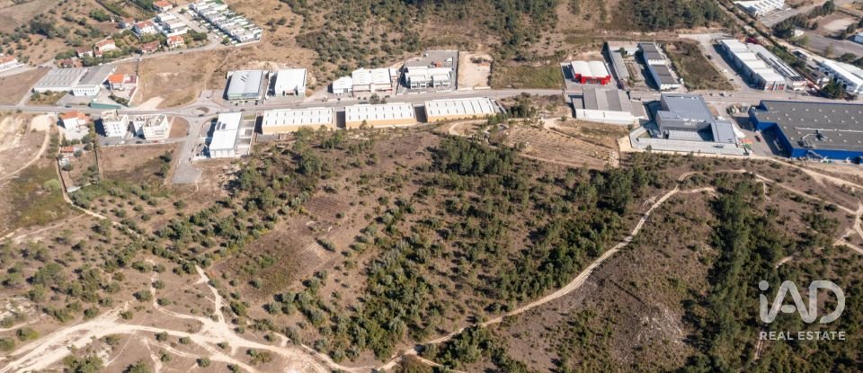 Terrain à Eiras E São Paulo De Frades de 14 195 m²