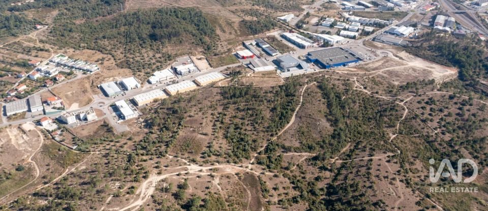 Terrain à Eiras E São Paulo De Frades de 14 195 m²