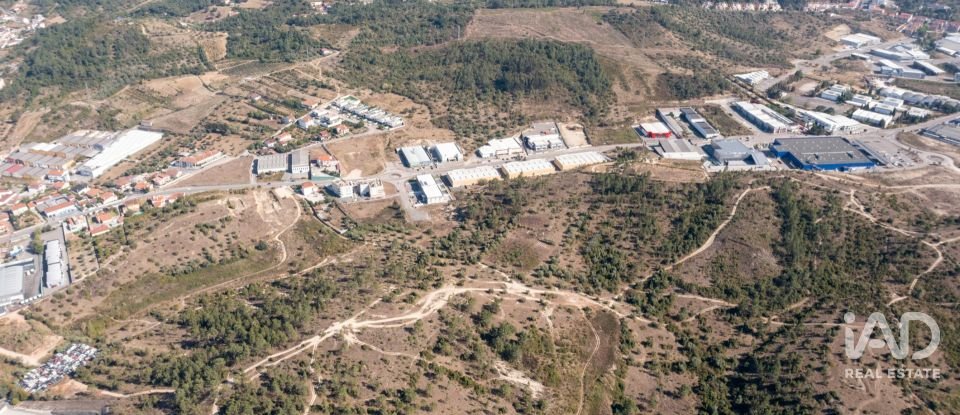 Terrain à Eiras E São Paulo De Frades de 14 195 m²