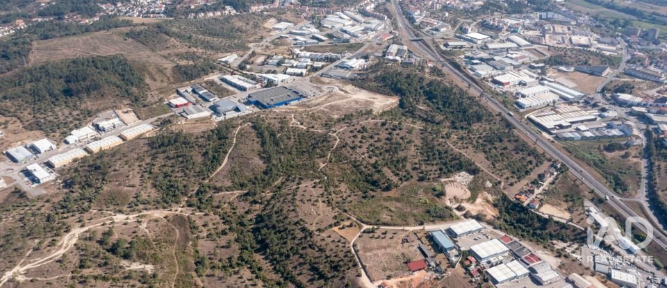 Terrain à Eiras E São Paulo De Frades de 14 195 m²