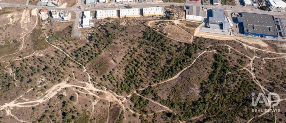 Terrain à Eiras E São Paulo De Frades de 14 195 m²