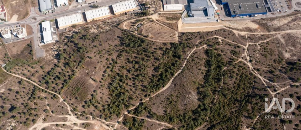 Terrain à Eiras E São Paulo De Frades de 14 195 m²