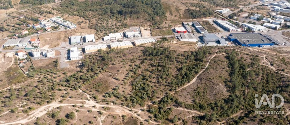 Terrain à Eiras E São Paulo De Frades de 14 195 m²