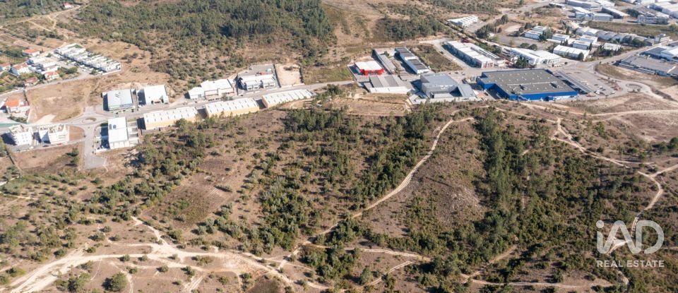 Terrain à Eiras E São Paulo De Frades de 14 195 m²