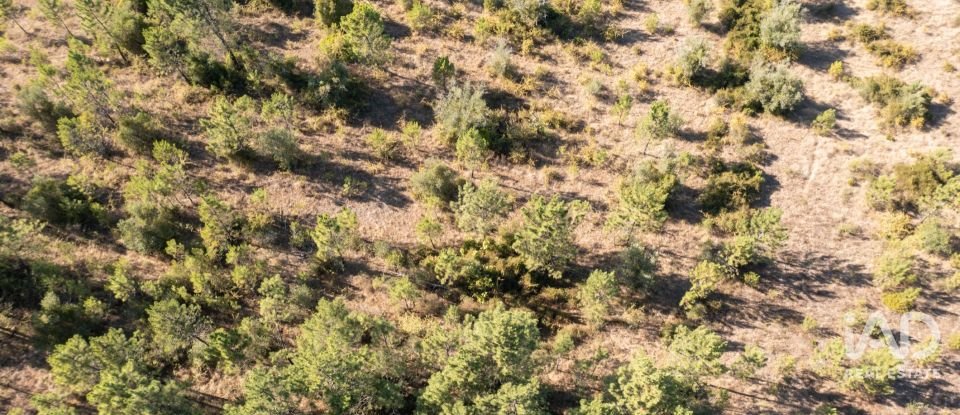 Terrain à Eiras E São Paulo De Frades de 14 195 m²