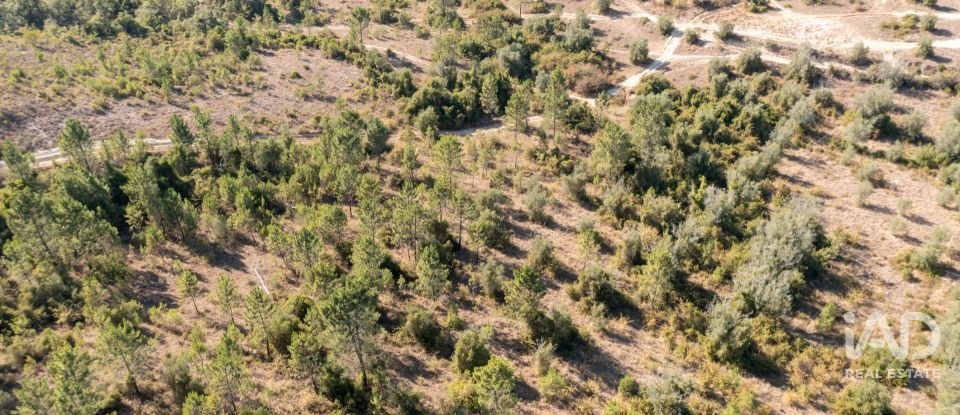 Terrain à Eiras E São Paulo De Frades de 14 195 m²