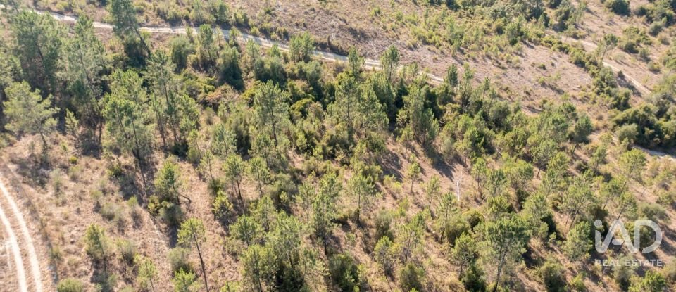 Terrain à Eiras E São Paulo De Frades de 14 195 m²