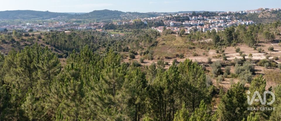 Terrain à Eiras E São Paulo De Frades de 14 195 m²