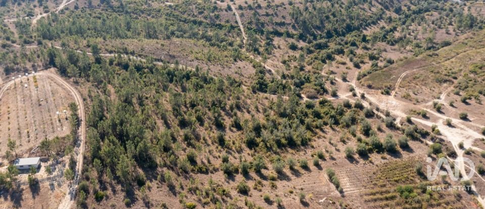 Terrain à Eiras E São Paulo De Frades de 14 195 m²