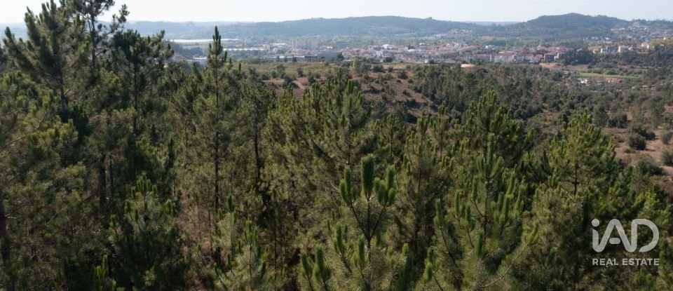 Terrain à Eiras E São Paulo De Frades de 14 195 m²