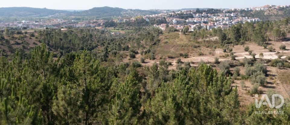 Terrain à Eiras E São Paulo De Frades de 14 195 m²