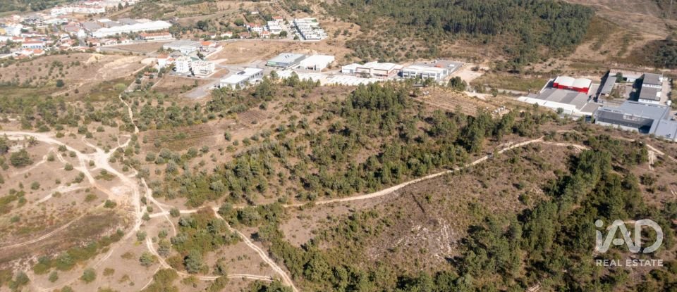 Terrain à Eiras E São Paulo De Frades de 14 195 m²