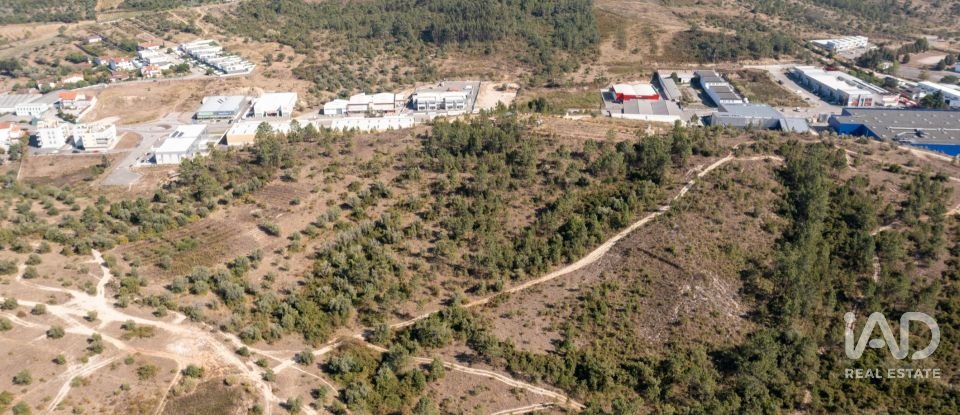 Terrain à Eiras E São Paulo De Frades de 14 195 m²