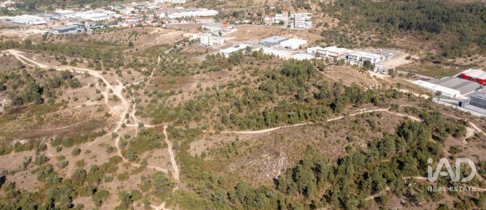 Terrain à Eiras E São Paulo De Frades de 14 195 m²