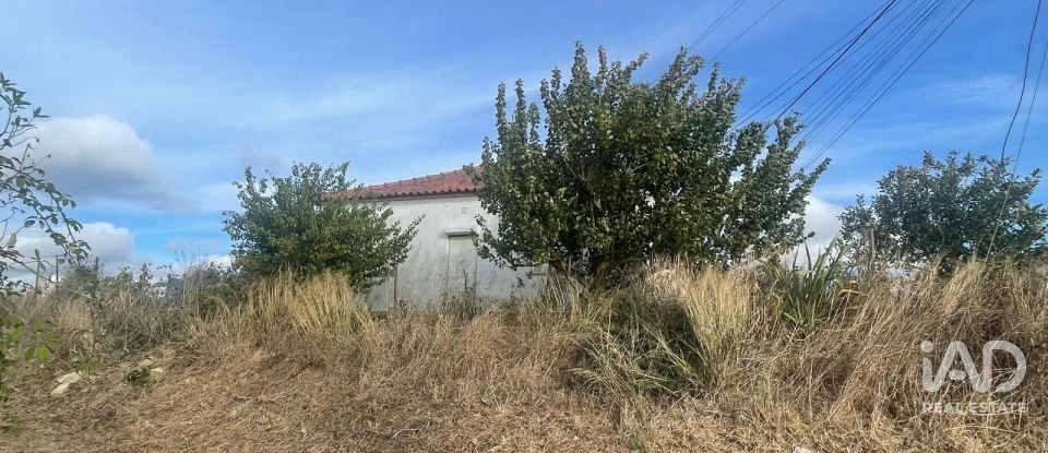 Moradia T2 em Santa Maria, São Pedro E Matacães de 150 m²