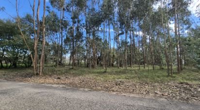 Terrain à bâtir à Pedreiras de 740 m²