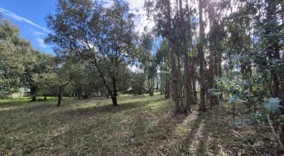 Terrain à bâtir à Pedreiras de 740 m²